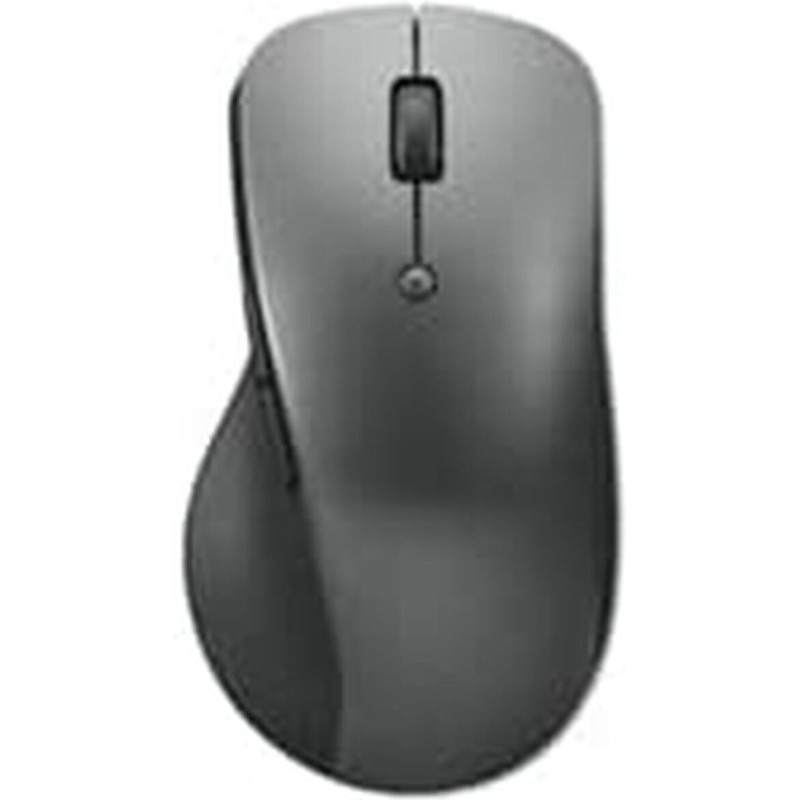 Lenovo Professional Blå optisk Trådløs Grå Lenovo Professional Blå optisk Trådløs Grå